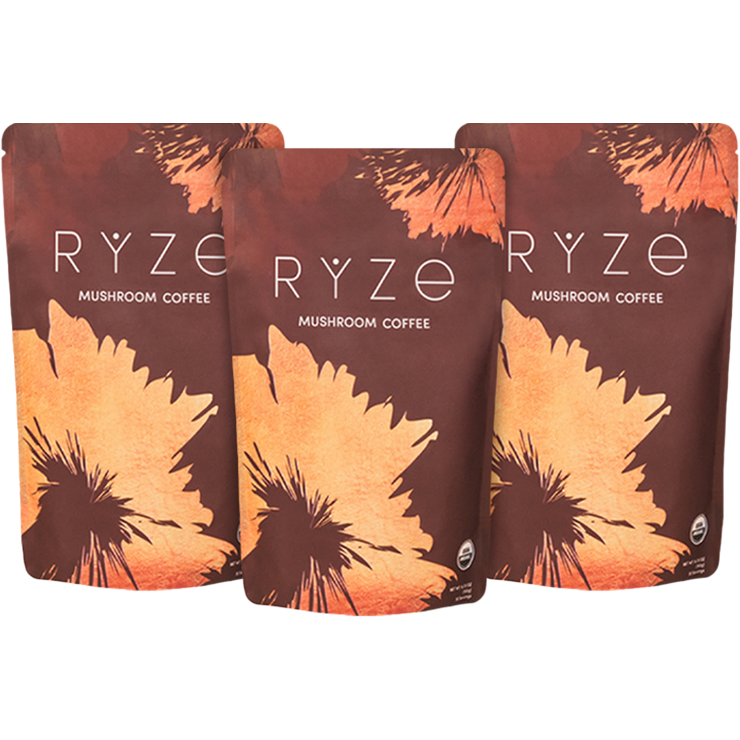 Mushroom Coffee (3 Month Upgrade) Original